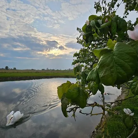 Te Lande, *
