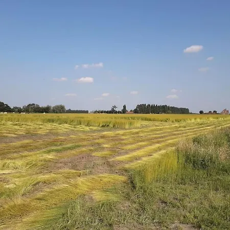 Te Lande, Nyaraló *